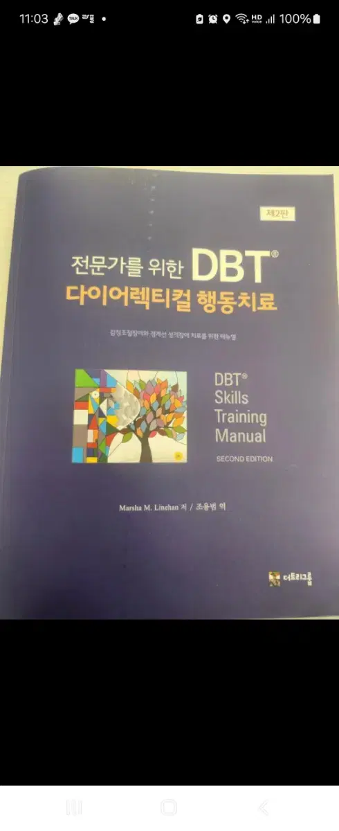 전문가를 위한 DBT